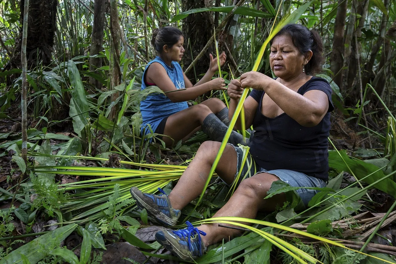 Women picking leaves in the Amazon