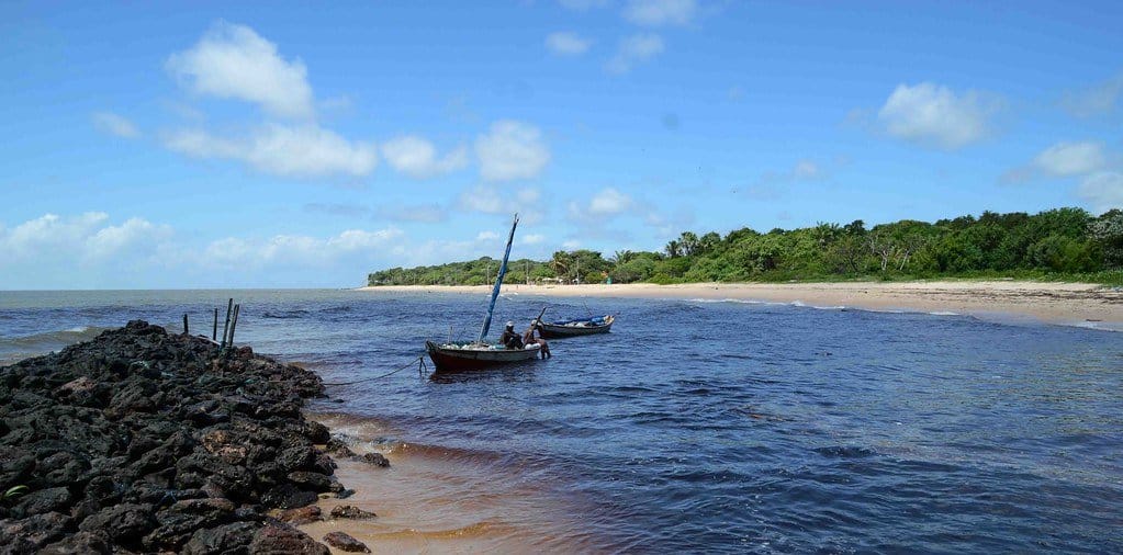 Exploring the Enchanting Marajó Island in Pará, Brazil