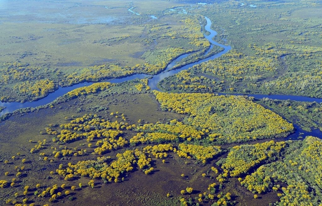 pantanal, river, wetland