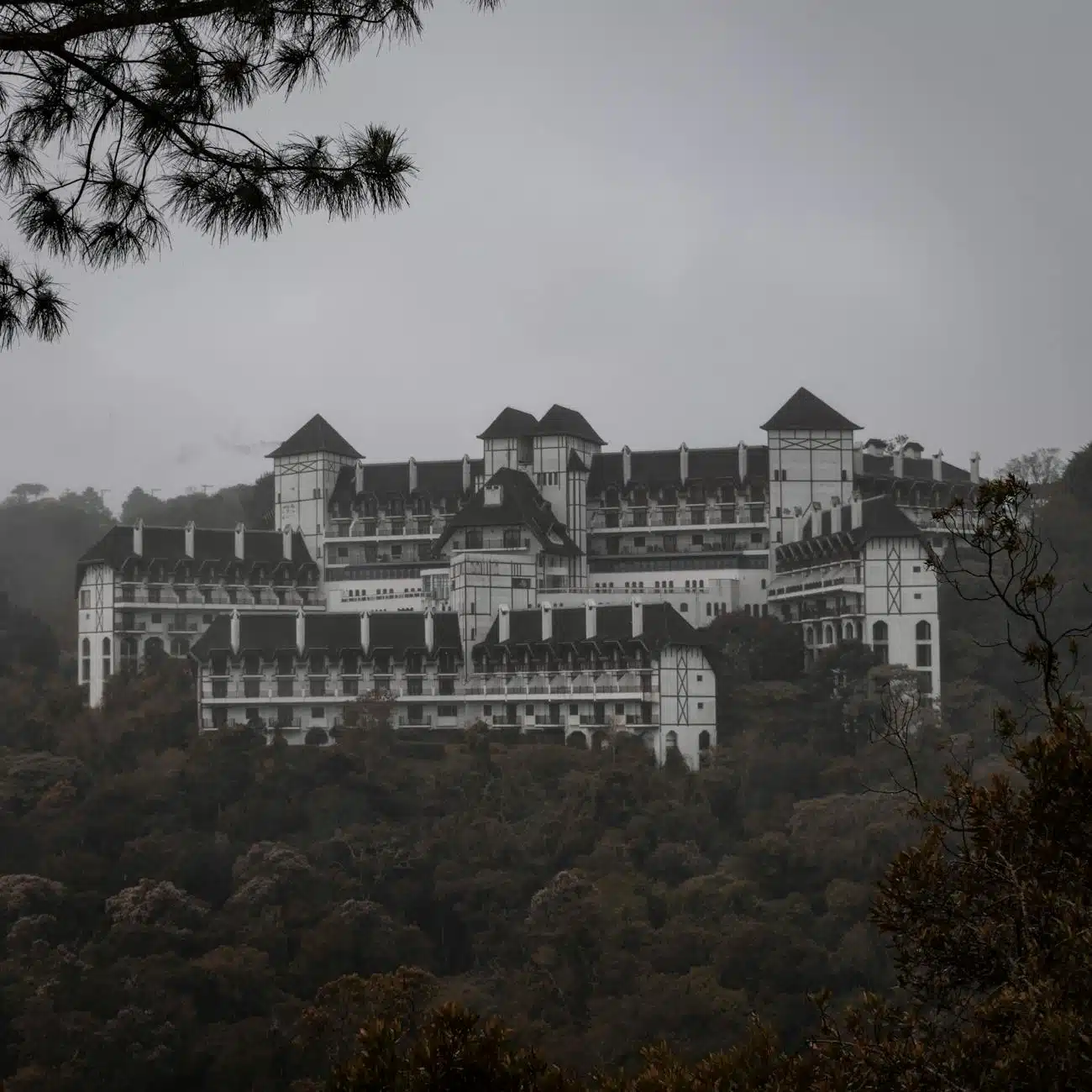 hotel in the middle of a forest