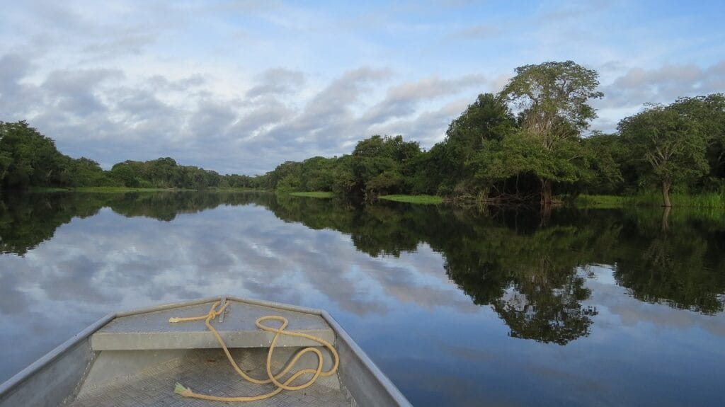 river, guaporé, amazon