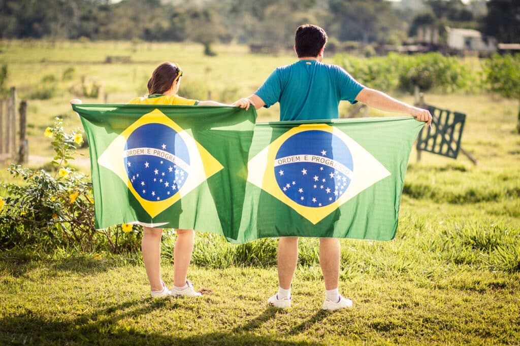 brazil, patriot, flag