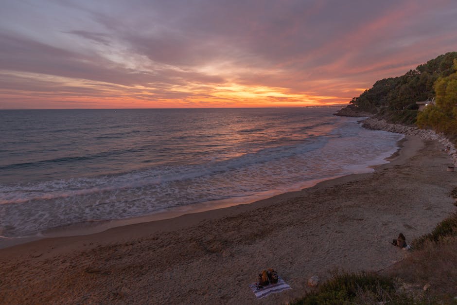 Capoeira roda on a beach at sunset