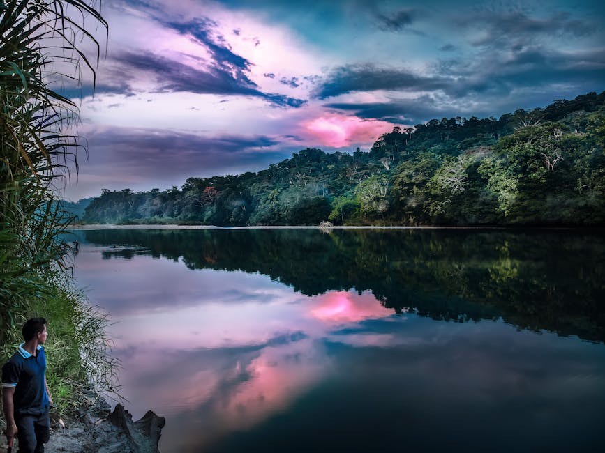 lush Amazon rainforest river