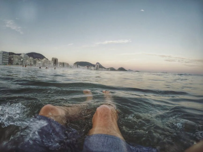 Ipanema beach from above