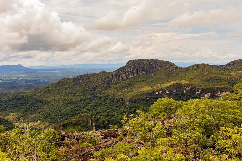 Chapada Diamantina valley landscape