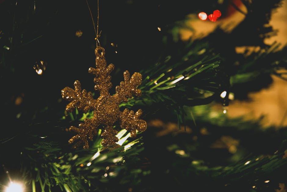 Natal Luz Gramado Christmas lights