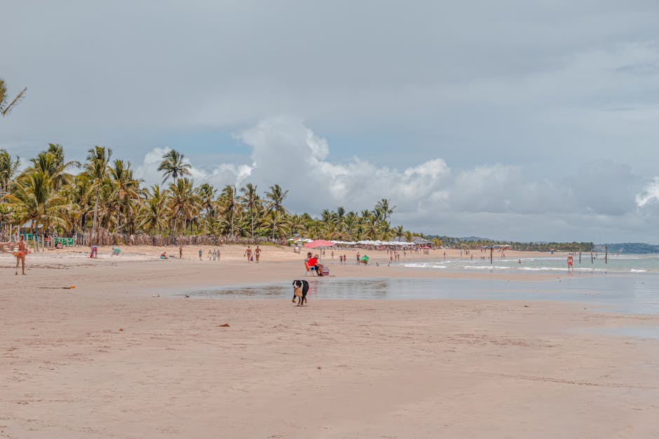 Trancoso Bahia beach
