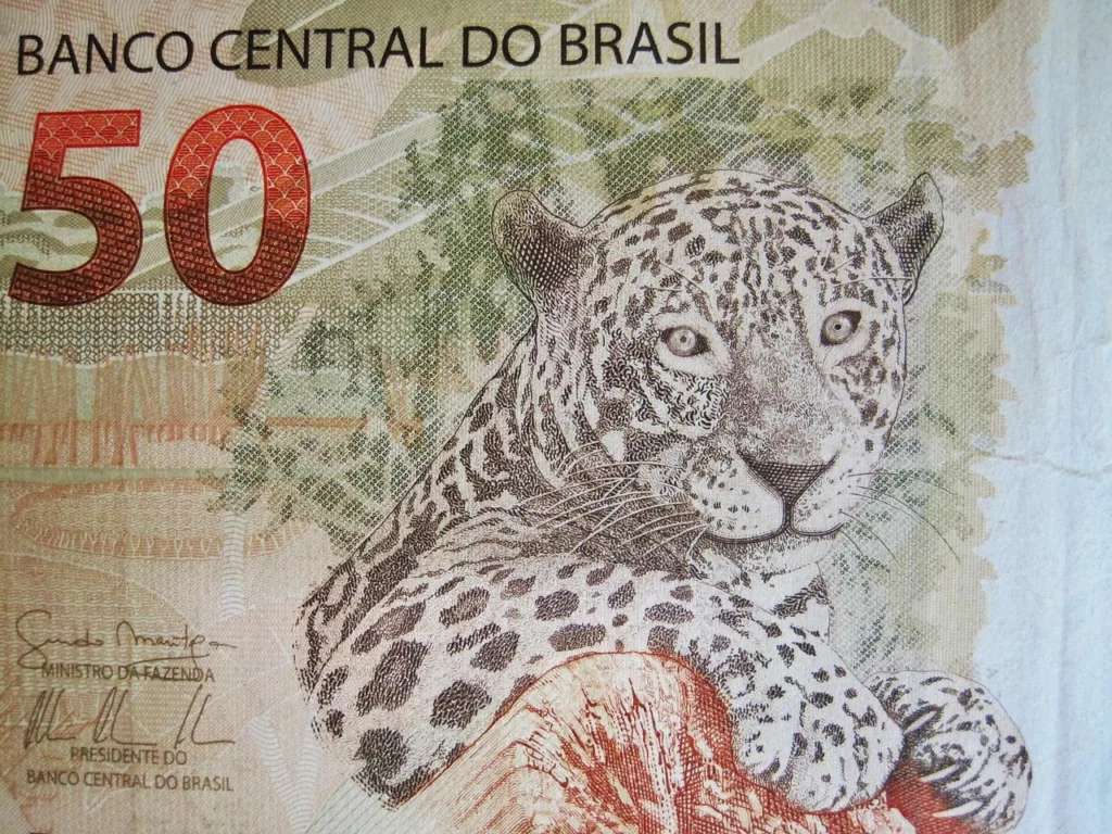 brazilian bank note, fifty real note, banknote, dollar bill, brazil, currency, paper money, money, seem, currency of brazil, jaguar, brl, banco central do brasil, cinquenta reais, beige, detail, cutout, brazilian money, brazilian fifty real bill, brazil, brazil, brazil, brazil, brazil, jaguar, jaguar, jaguar, jaguar, brl, brl