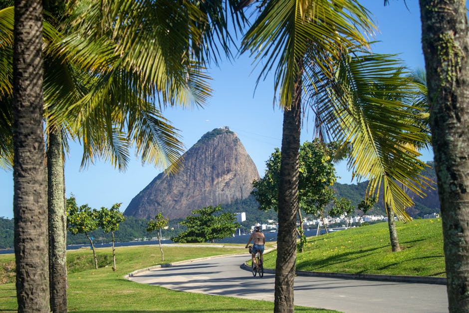woman overlooking Rio de Janeiro from Sugarloaf Mountain