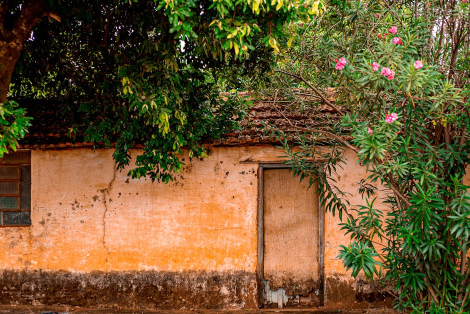 Sleep Like a Local: Discovering Authentic Stays Across Brazil