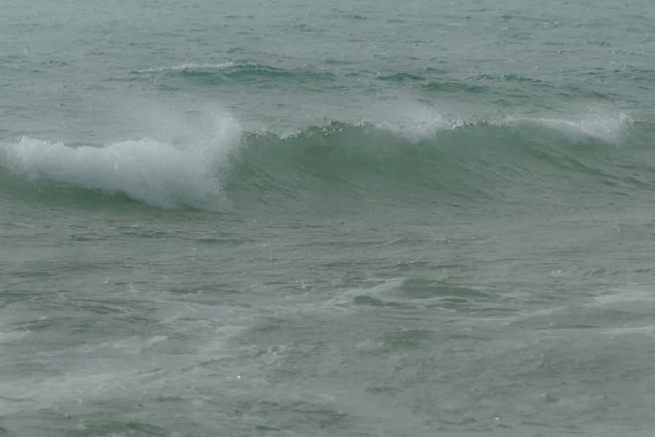 Your Tropical Checklist: Packing for a Dazzling Brazilian Summer Holiday (December-January)