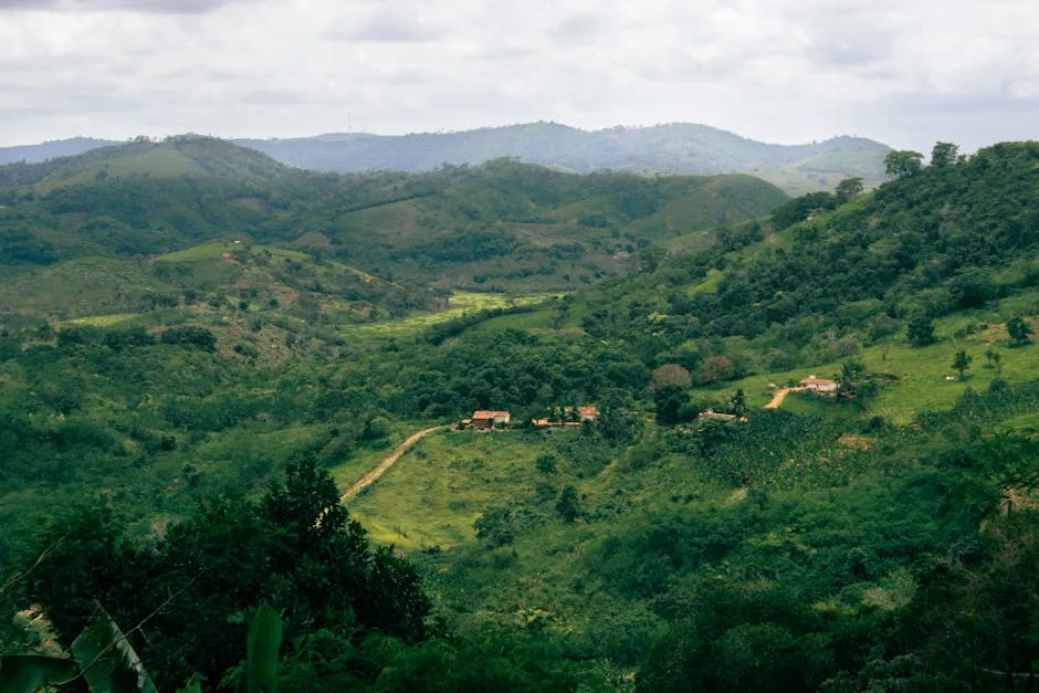 Laví Photos