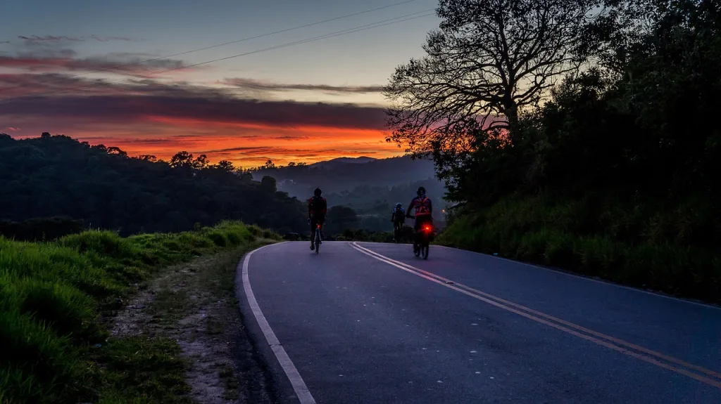 forest, bush, road, infinity, beauty, plant, green, landscape, trees, vegetation, environment, woods, sheets, atlantic forest, trunk, wood, tree, nature, flora, brazilian flora, botanist, ride, path, relax, sun, brazil, quiet, to walk, trail, sand, contemplation, dawn, bike, cycling, trip, adrenaline, sport, vacation, cyclist, tranquility, adventure, perspective, tourism, radical, visual, recreation, pedal, travel, summer, holidays, sky, helmet, health, cycling, cycling, cycling, cycling, cycling