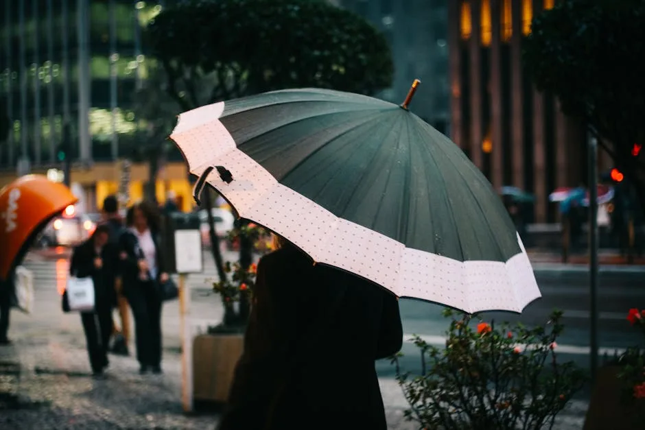 Navigating a Passport Loss in Brazil: Your Essential Action Plan