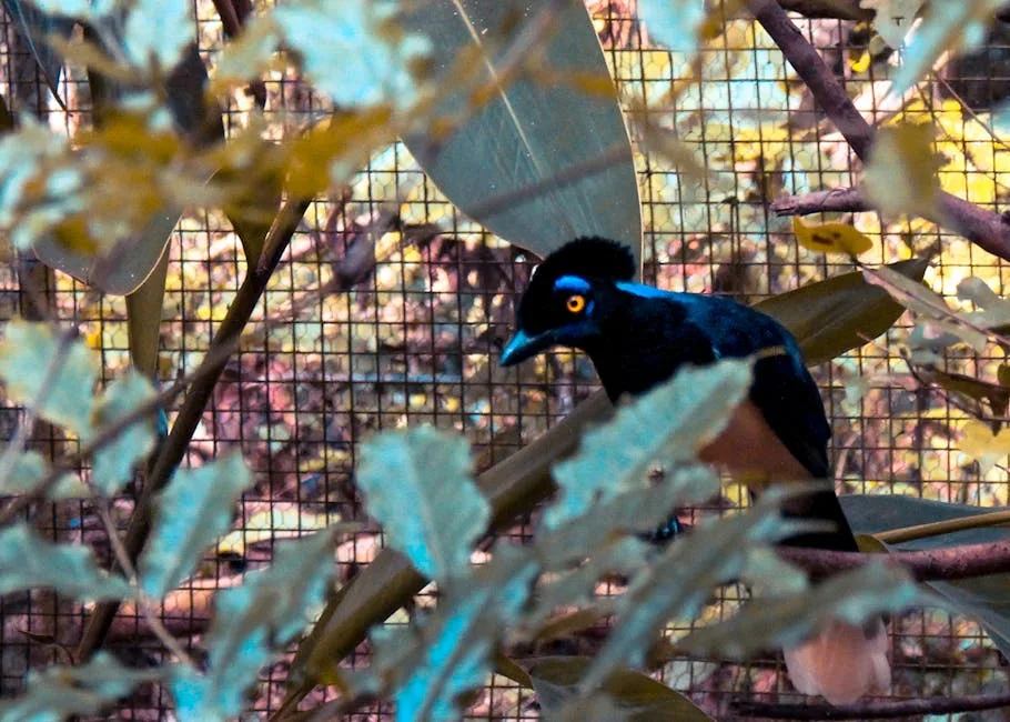 Unveiling the Pantanal: Your Guide to Wildlife Seasons, Safari Adventures, and Incredible Encounters