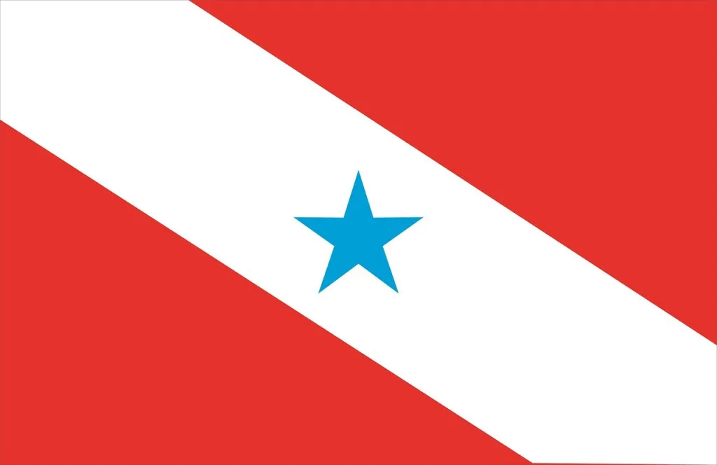 flag, state, brazil flag, for, brazil