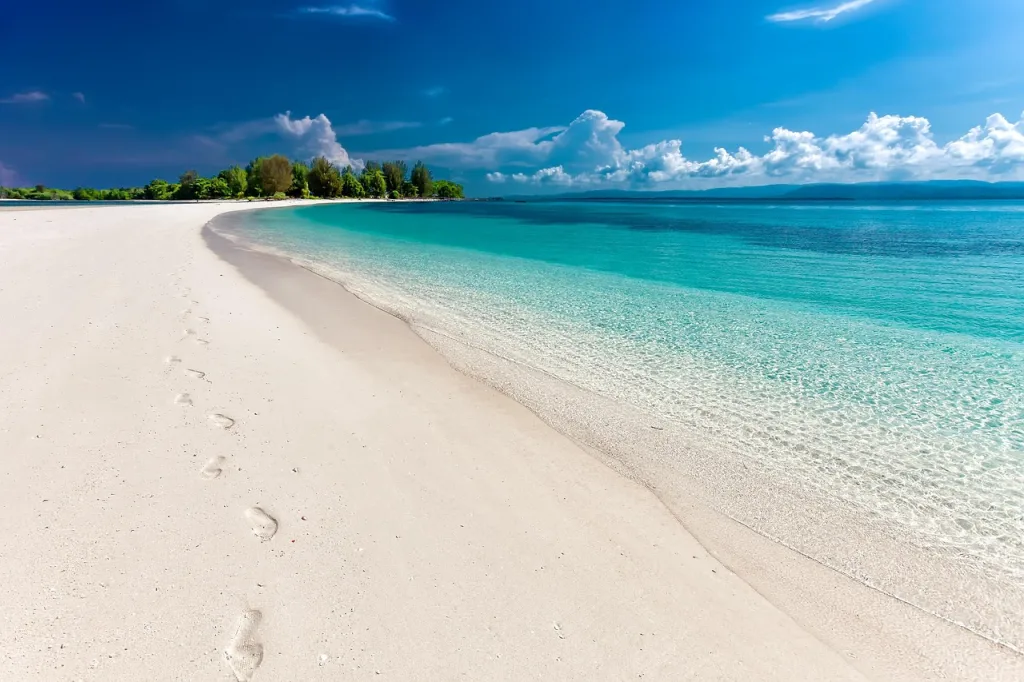 Fernando de Noronha: Permits, Fees, and How to Plan a Short Trip