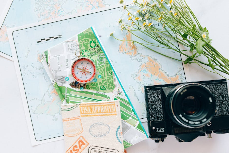 Brazilian passport stamps inside Brazil