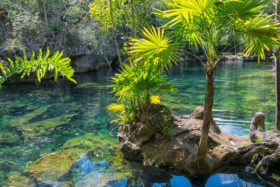 crystal clear river inside Brazil