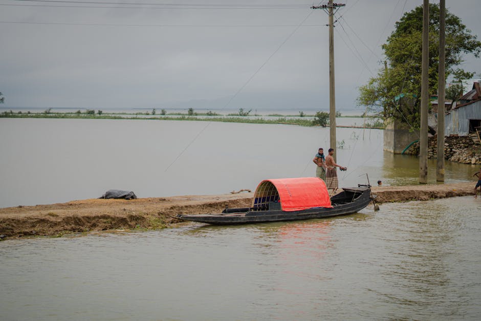 river boat navigating flooded forest inside Brazil