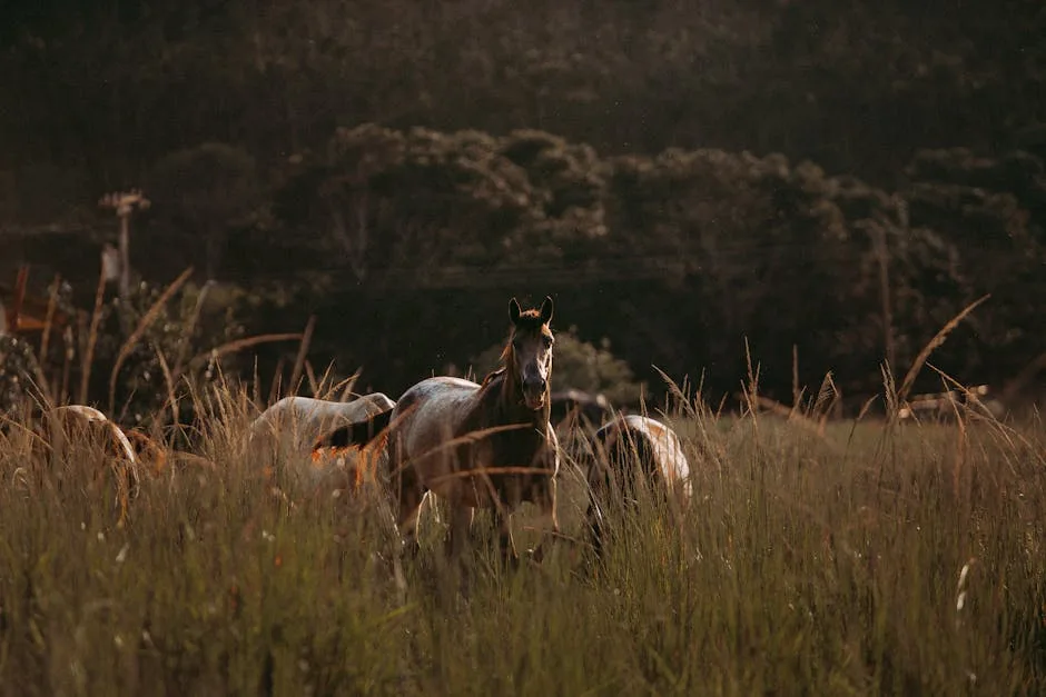 Why Jalapão is Brazil’s Ultimate Off-Road Secret for May and June