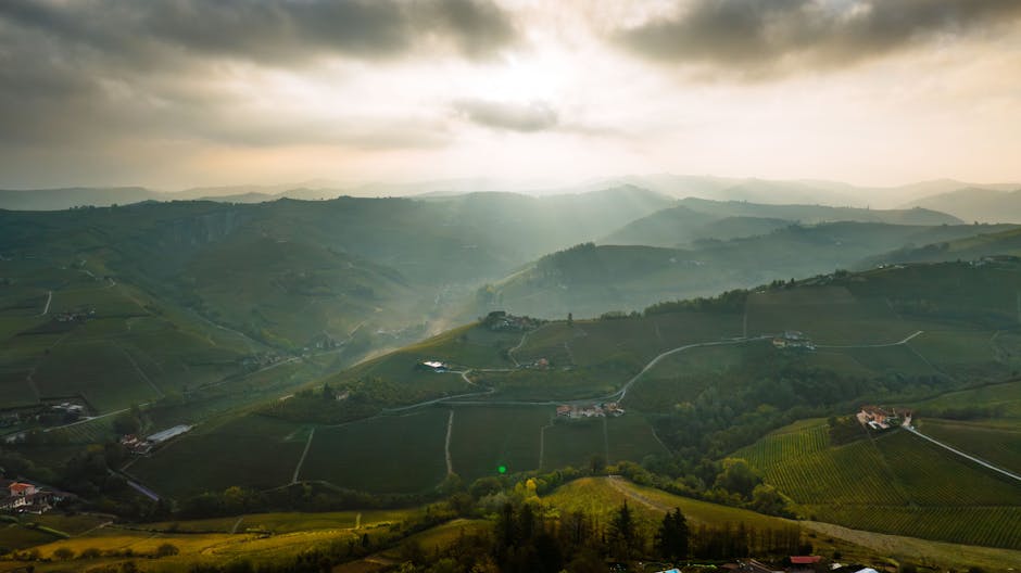 vineyard hills at sunset road only Brazil
