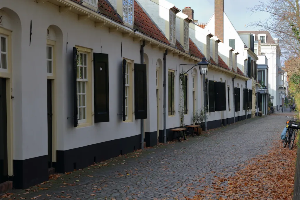 cobblestone street colonial houses only