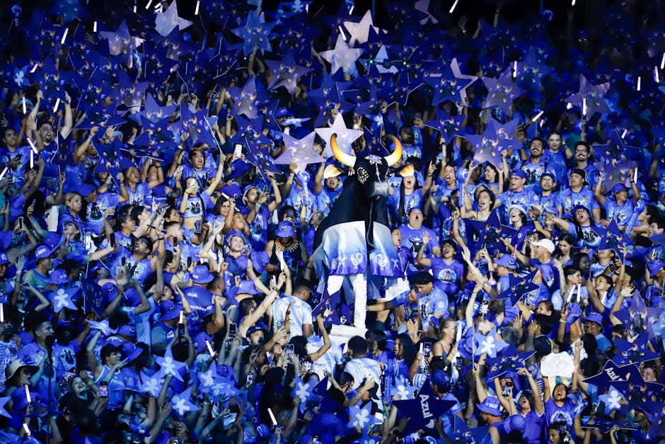 bumbodromo arena nighttime performance brazil