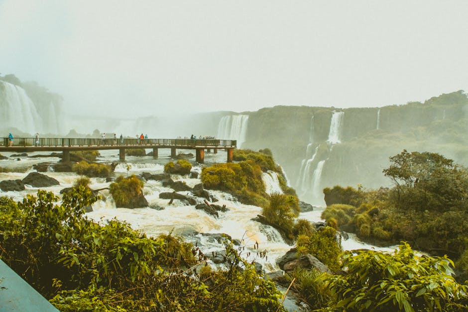 viewpoint over rainforest waterfall in Brazil