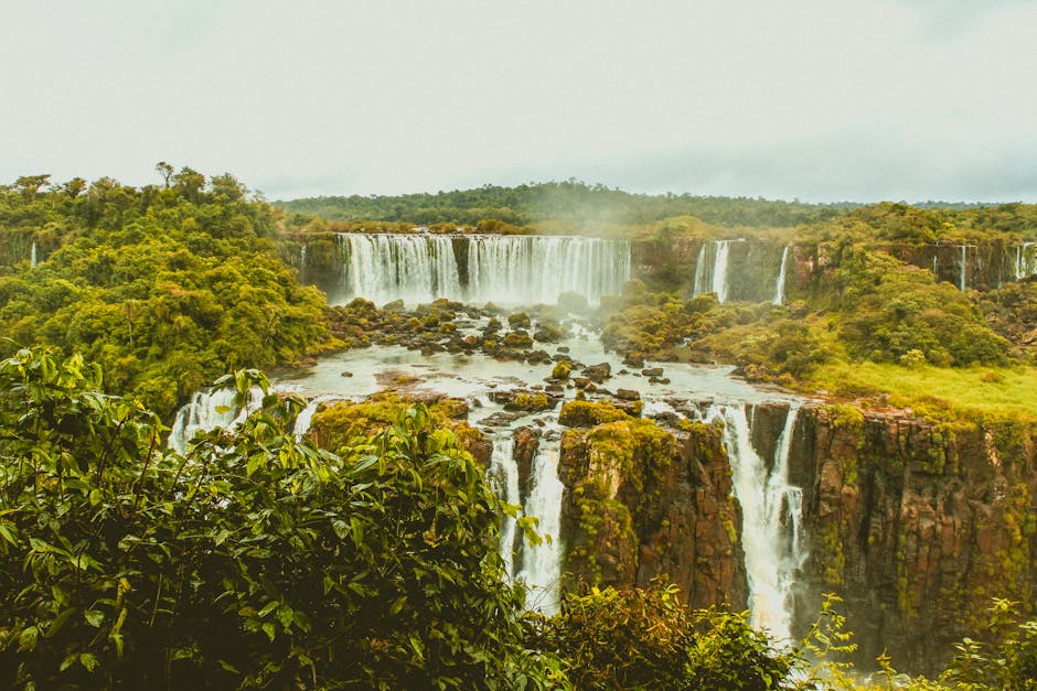 viewpoint over rainforest waterfall brazil
