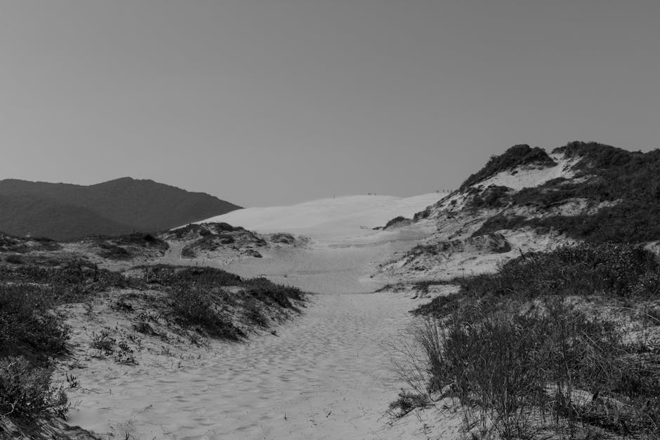 empty Lopes Mendes white sand in Brazil