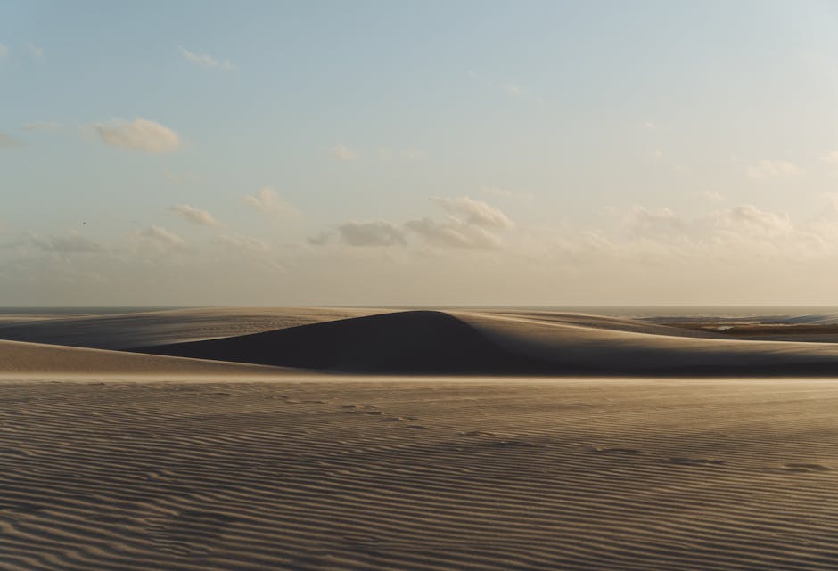 musicians dancing on sand dune in Brazil