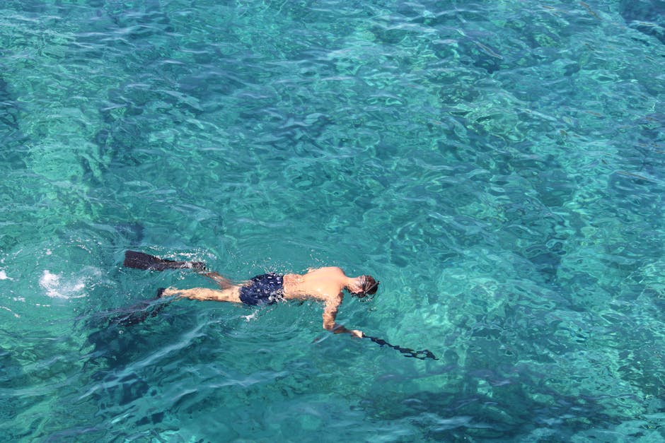 snorkeling crystal clear river bonito