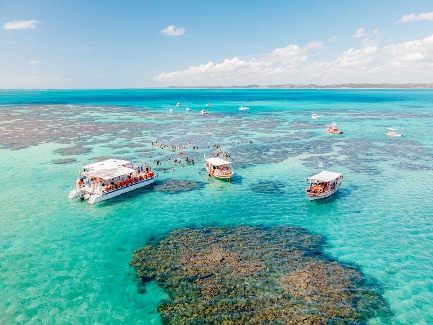 Maragogi natural pools clear water in Brazil