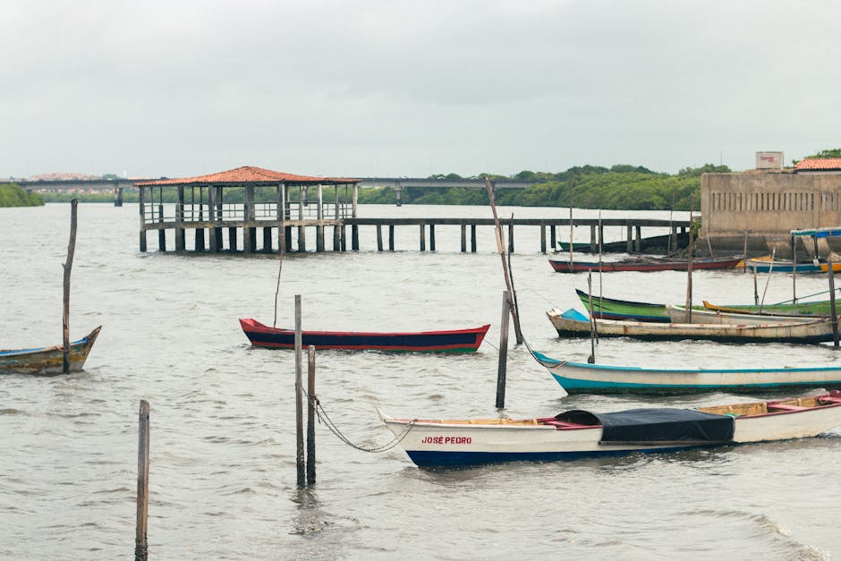 macapa equator marker riverfront brazil