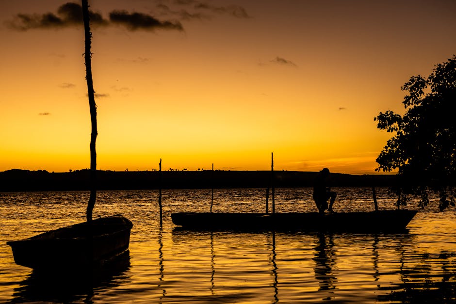 Boat through mangrove sunrise in Brazil