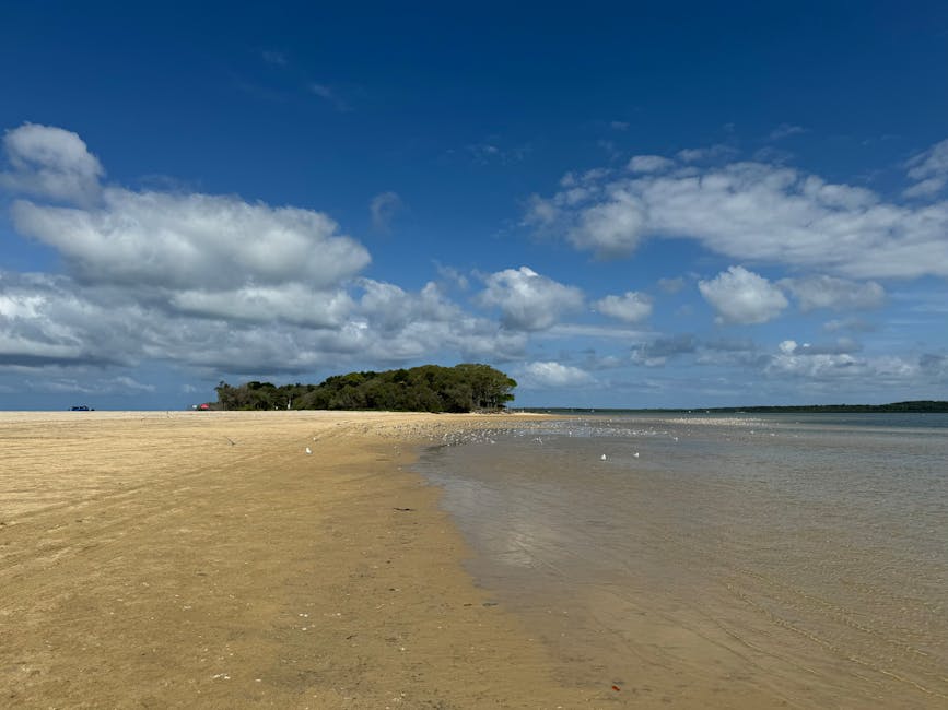 areia vermelha sandbar low tide