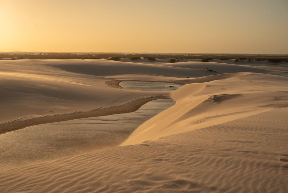 golden sand dunes at sunrise in Brazil