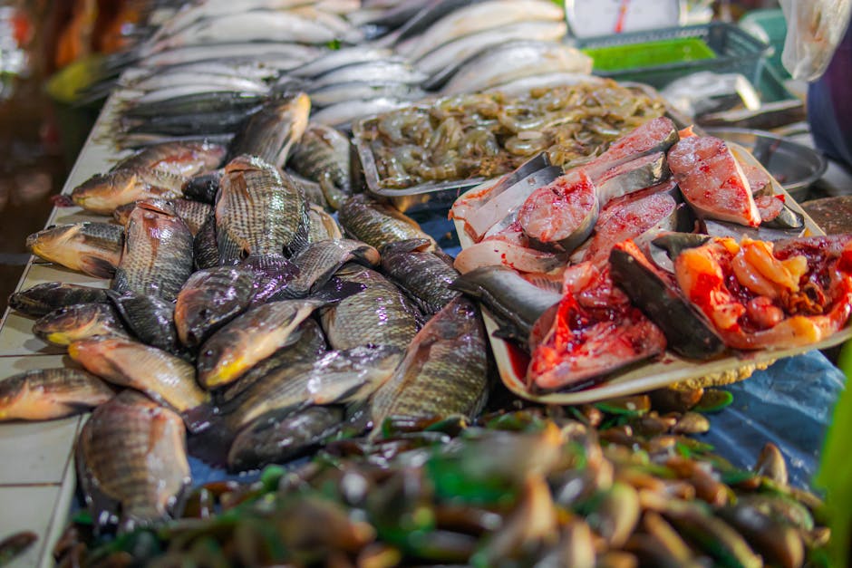 belem market colorful fish stalls