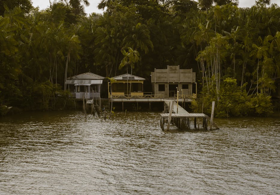 Madeira River riverside village sunrise in Brazil