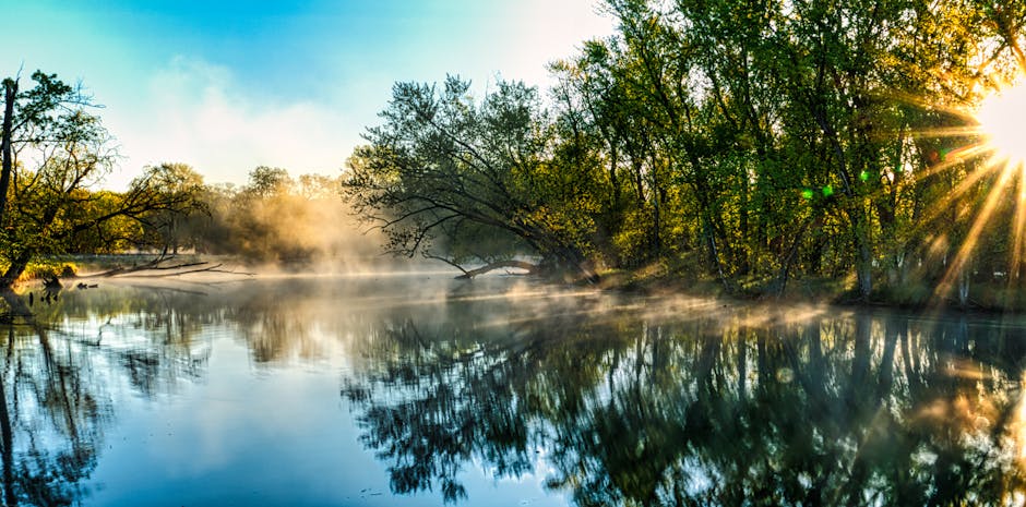 madeira river riverside village sunrise
