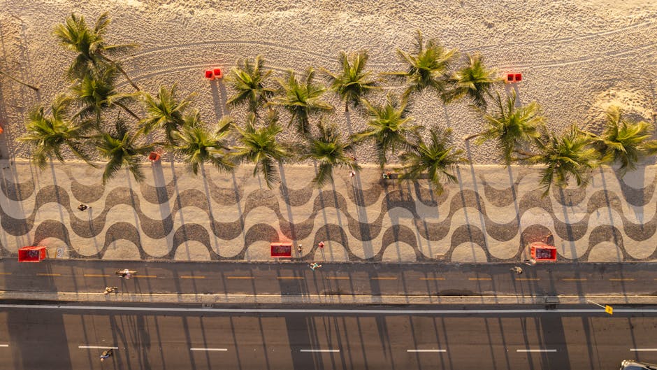 wheelchair user copacabana promenade brazil