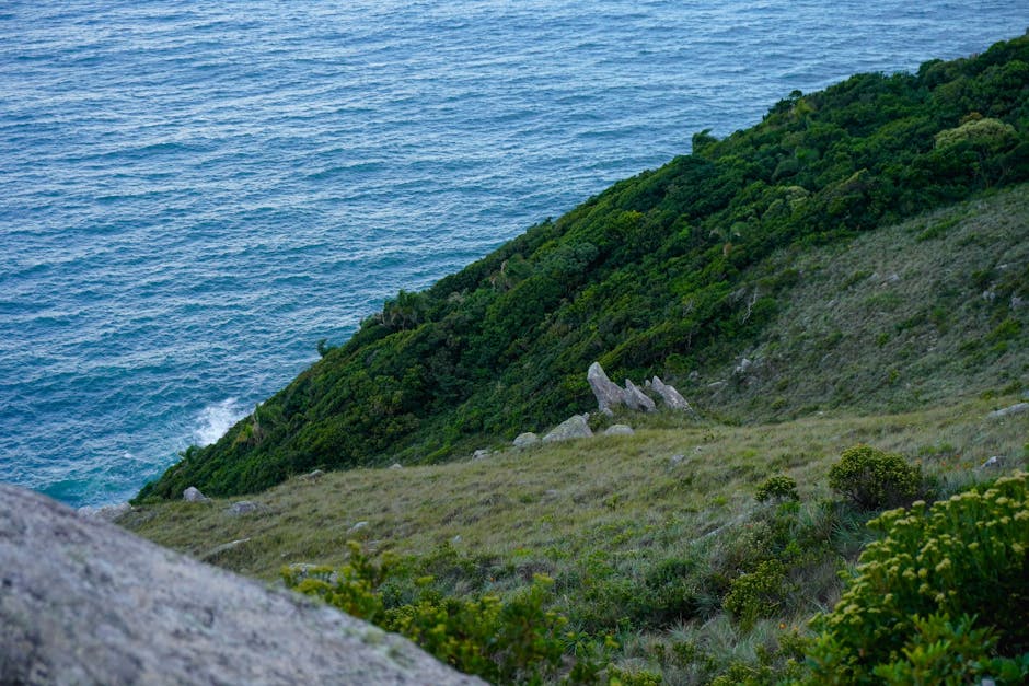 Brazil scenic landscape