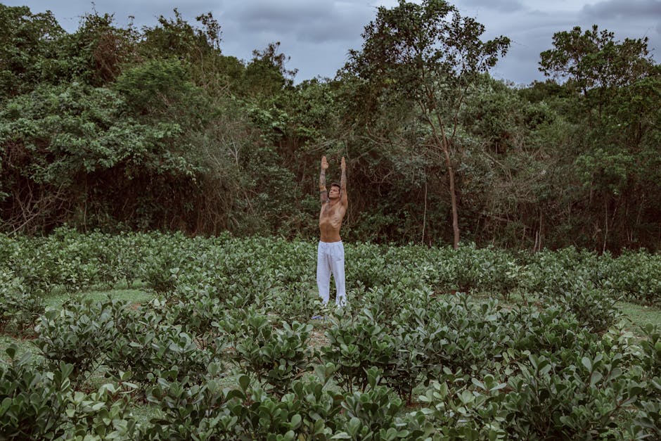 surfers practicing yoga Itacaré Brazil in Brazil