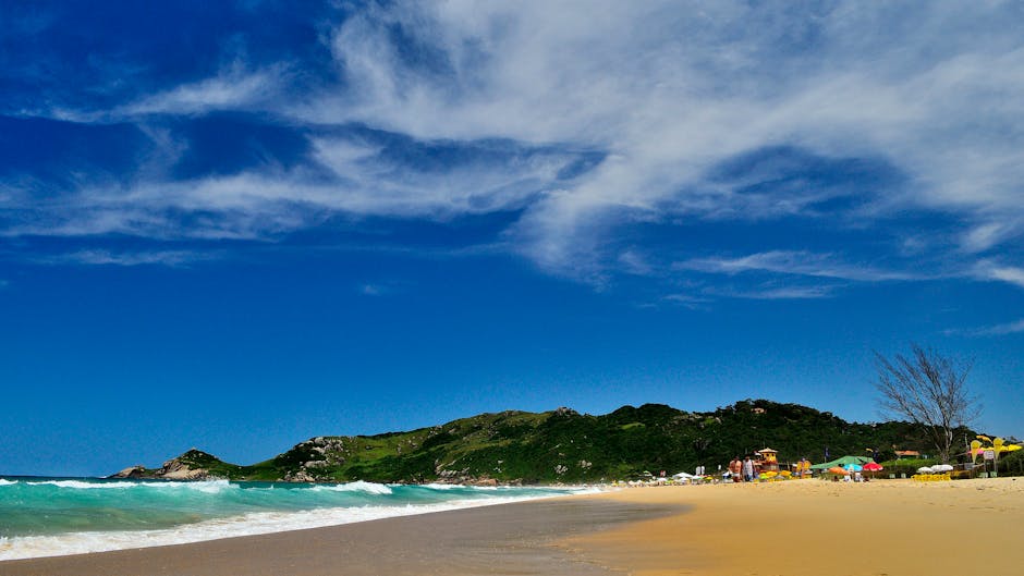 alter chao beach brazil brazil