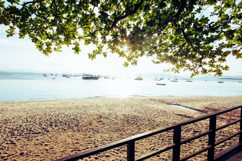 coworking space lagoa florianopolis brazil