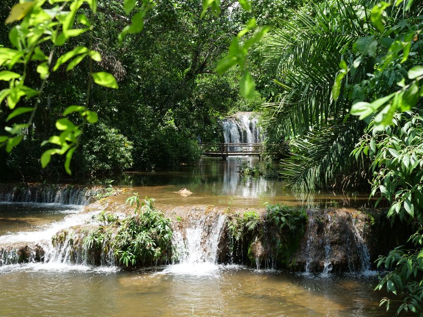 glamping tent Pantanal Mato Grosso Brazil in Brazil