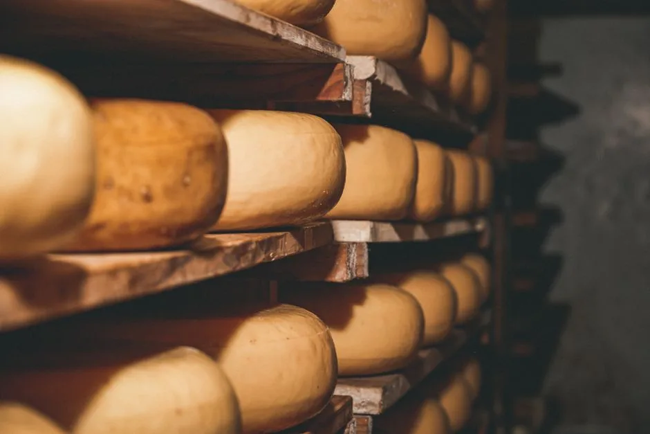 cheese aging cellar wooden shelves in Brazil