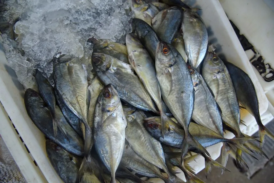 Ver-o-Peso market fish stalls in Brazil